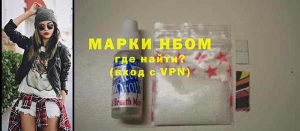 spice Богородицк